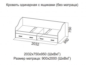 Кровать одинарная с ящиками (Без матраца 0,9*2,0) в Белоярском - beloyarskij.magazin-mebel74.ru | фото