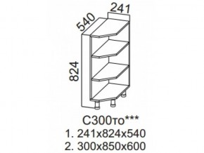 С300то Стол-рабочий 300 (торцевой открытый) в Белоярском - beloyarskij.magazin-mebel74.ru | фото