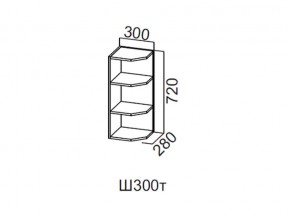 Ш300т/720 Шкаф навесной 300/720 (торцевой) в Белоярском - beloyarskij.magazin-mebel74.ru | фото