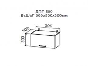 Шкаф верхний ДПГ500 горизонтальный в Белоярском - beloyarskij.magazin-mebel74.ru | фото