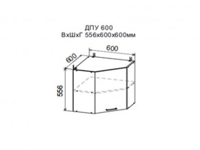 Шкаф верхний ДПУ600 угловой в Белоярском - beloyarskij.magazin-mebel74.ru | фото